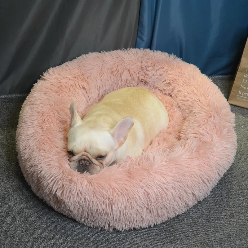 11968623763_588141506