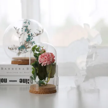 

8*15cm Cork Base Glass Dome Home Decoration Diameter=8cm Height=15cm Glass Cover Vase Friend Gift Wedding Decoration