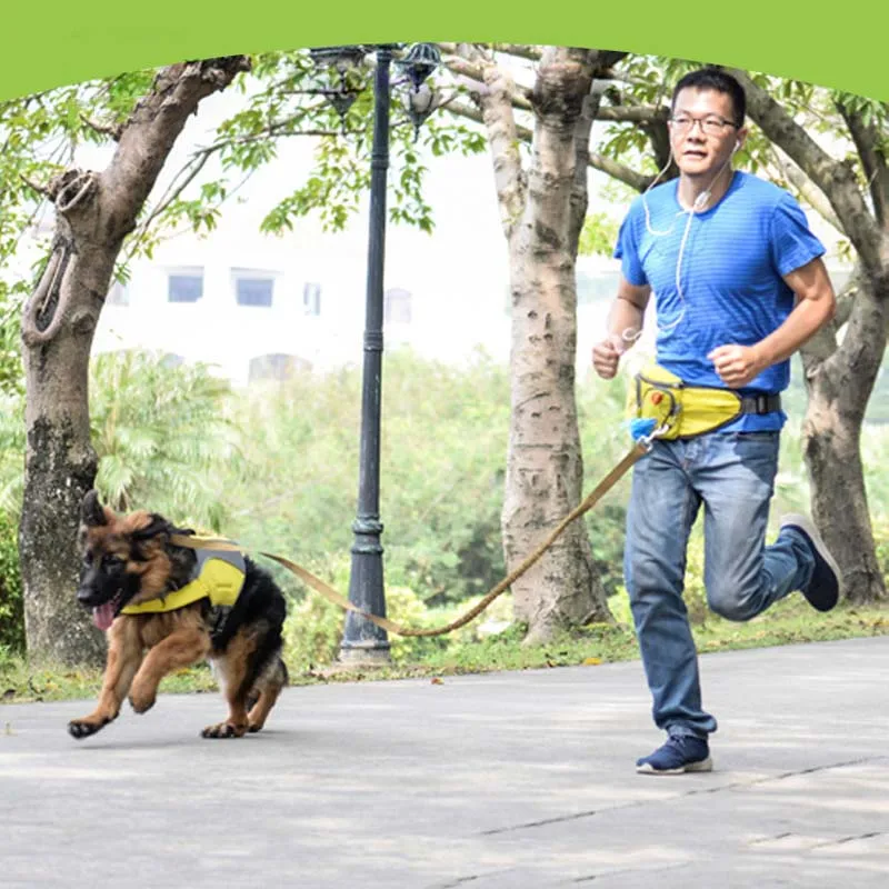 

Outdoor Sports Dogs Snack Bag Pouch Food Bag Snack Bait Dog Dog Carriers Pack Useful Pet Dog Training Treat Drop Shipping