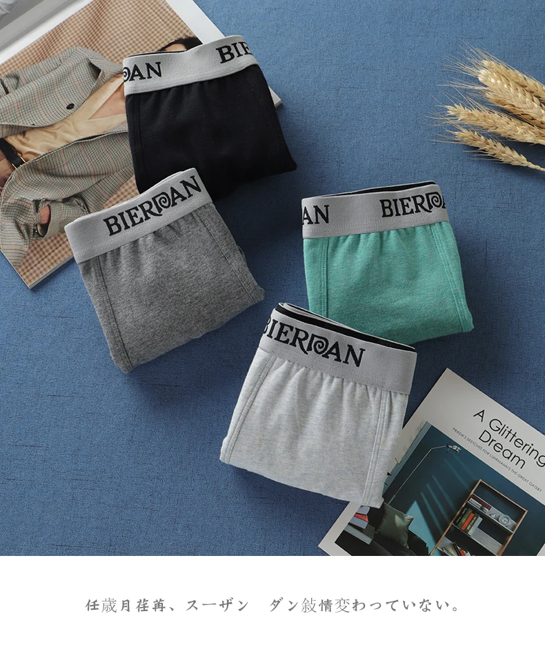 BIERDAN 4pcs/lot Male Panties Cotton Men Underwear Boxers Breathable Man Boxer Solid Underpants Comfortable Brand Shorts