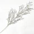 Silver C