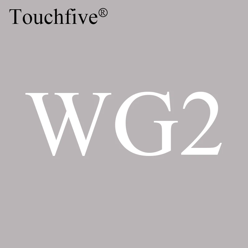 WG2 Touchfive дополнительный цвет Dual Head художественные маркеры одиночные на спиртовой основе эскизные маркеры манга кисть для рисования; ручка краски - Цвет: WG2