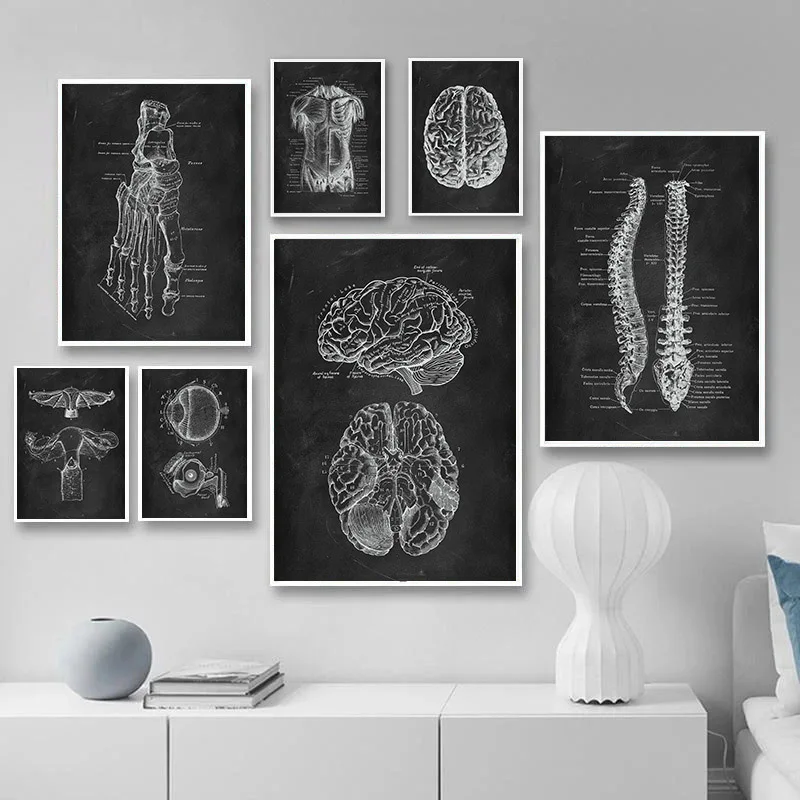 

Human Anatomy Artwork Medical Wall Picture Skeleton Organ Muscle System Vintage Poster Canvas Print Body Education Painting