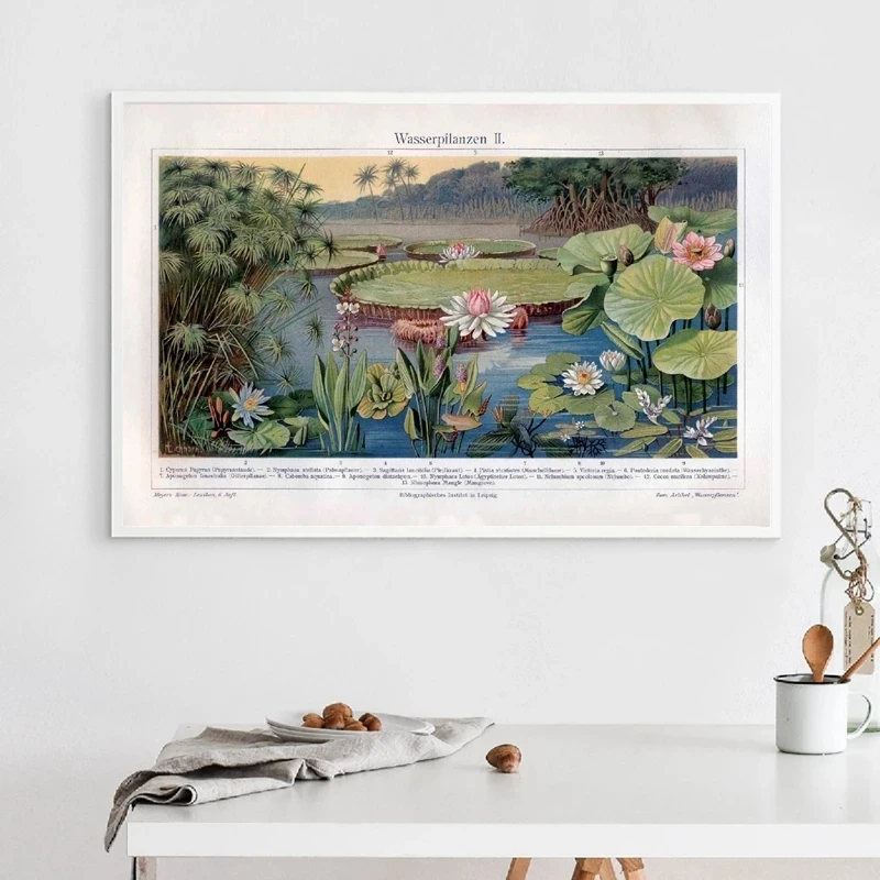Waterlilies Plants Prints Lily Pads Pond Bog Flower Botanical Poster Vintage Wall Art Lotus Picture Rustic Decor Painting Calligraphy Aliexpress