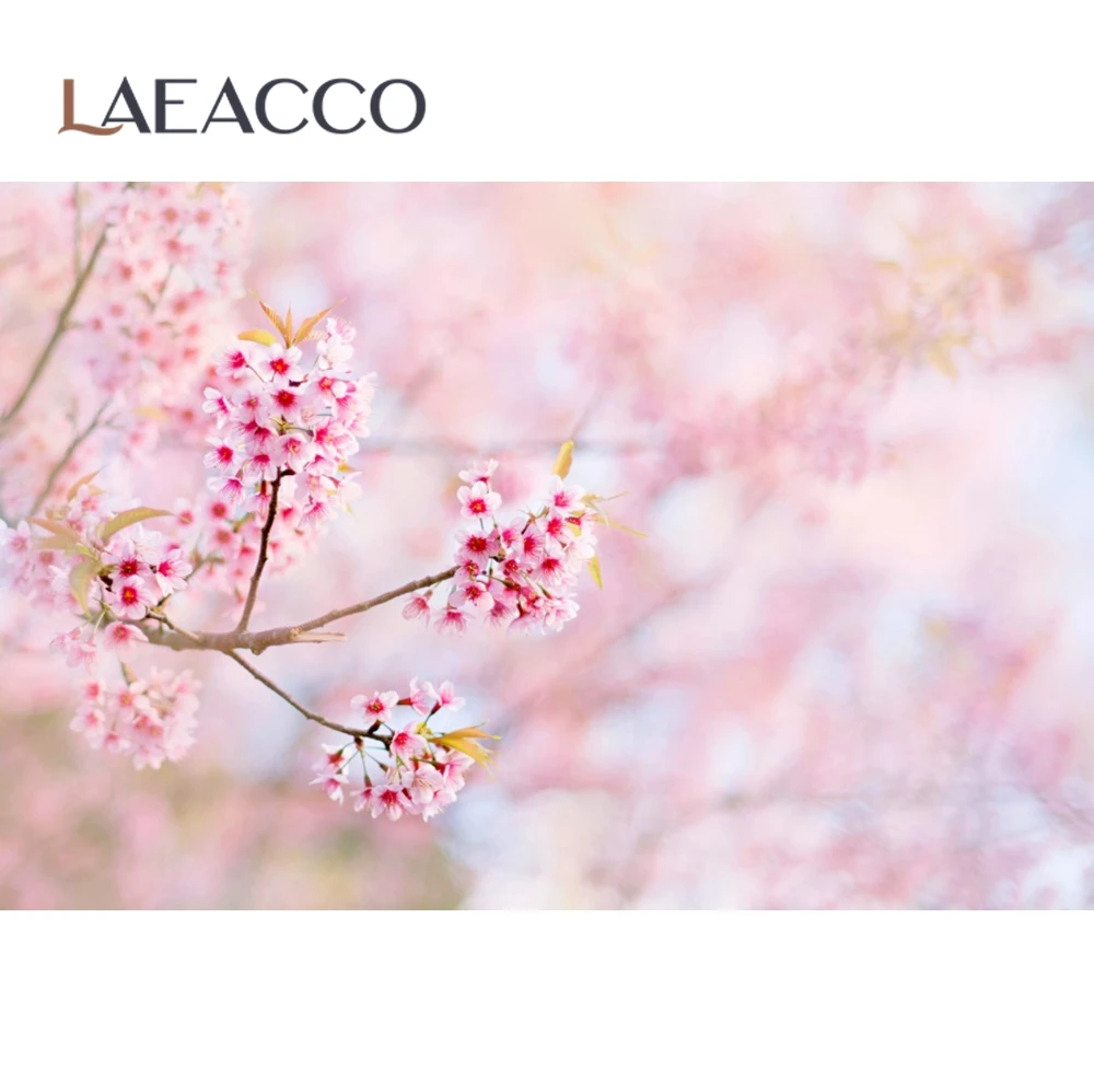 Laeacco ũ   Ʈ    ʻȭ     Ʃ 