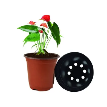

New 50PC Seed Starting Pot Bowl Flower Plant Container For Succulents Seedlings Balcony Garden Planter Practical Tool Home Decor