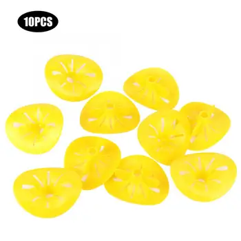 

Mating Box 10 Pcs Plastic Reusable Wasp Hornets Bottle Catcher Traps Funnel Killer Beekeeping Tools beekeeping