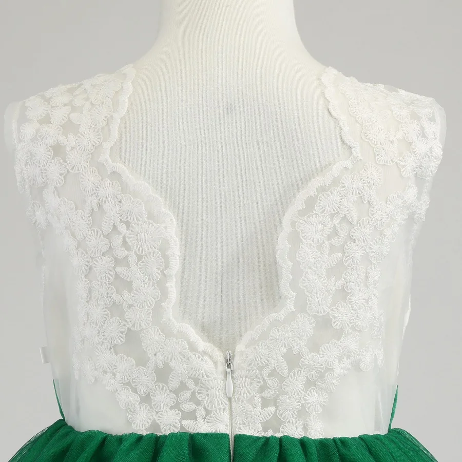 12102549219_1904584970