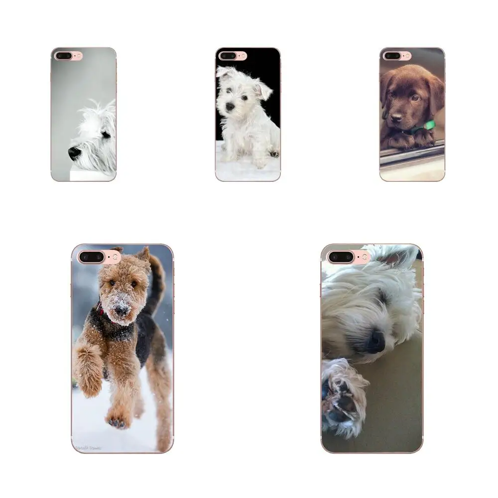 Westie собака мопса щенок двое для Huawei Honor 5C 5X 6A 6X 7 7A 7X 8 8A 8S 8X 9 10 30 Lite Pro Y6 II Y7 Y9 Prime 2019 |