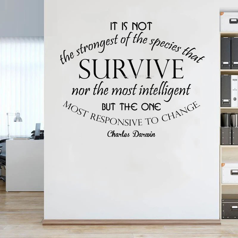Autocollant Mural De Citation De Charles Darwin Autocollant D Art De Decor De Survie Et De Changement Ce N Est Pas La Plus Forte Des Especes Qui Resistent Dg242 Aliexpress Autocollant Mural De Citation De Charles Darwin Autocollant D Art De Decor De Survie Et De Changement Ce N Est Pas La Plus Forte Des Especes Qui Resistent Dg242 Aliexpress