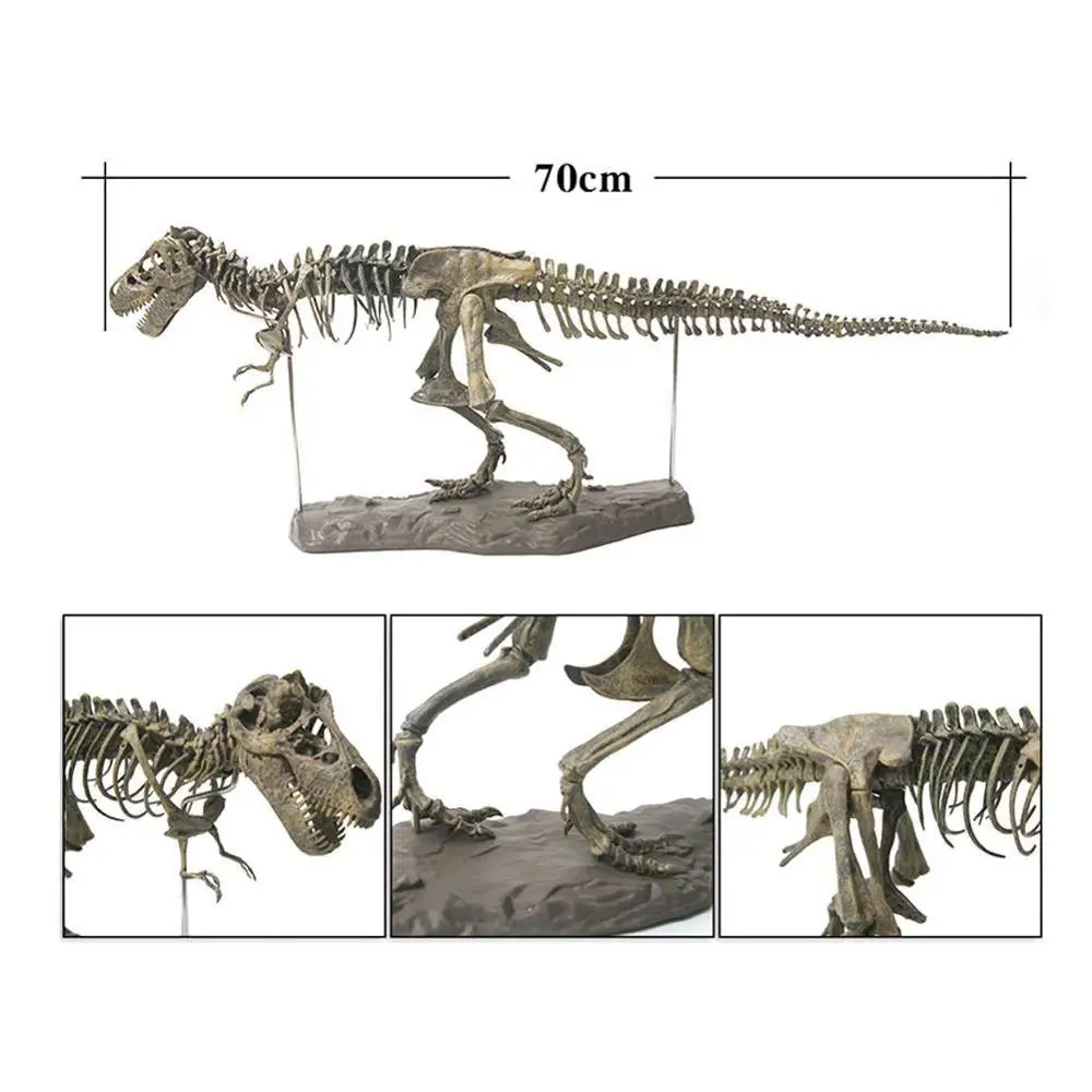 Динозавр 4D собранный скелет динозавра детская игрушка Overlord Dragon Fossil Скелет моделирование животных модель украшения