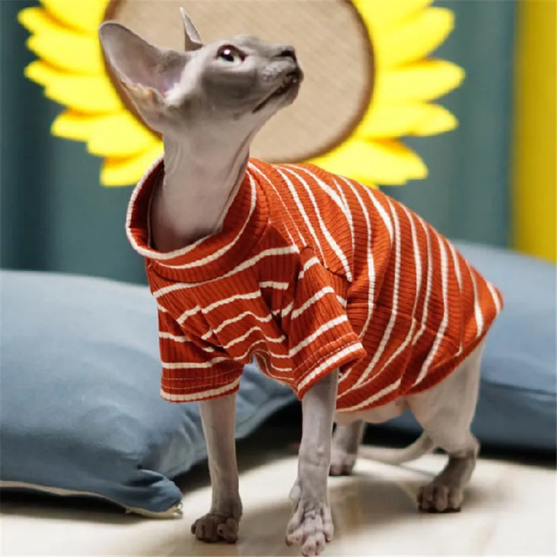 Chic Sphynx Cat Spring Summer Wearing Cat Apparel Kitten Jumper Hairless Cat  Outfits Coat Kitty Luxury Cat Clothes - Cat Coats & Jackets - AliExpress