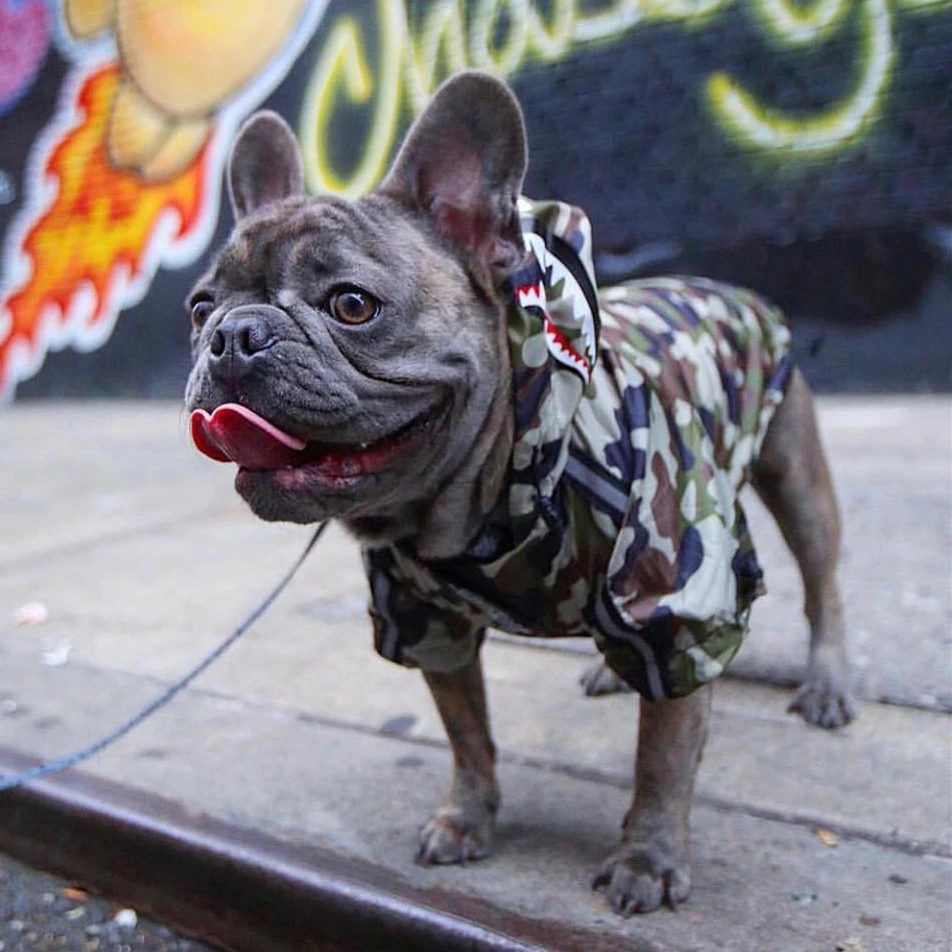 Dog Clothes Adidog Camouflage French Bulldog Pupreme Shirt Dog Camo Windbreaker Sport Retro Dog Hoodies Pet Clothes Puppy Pugs