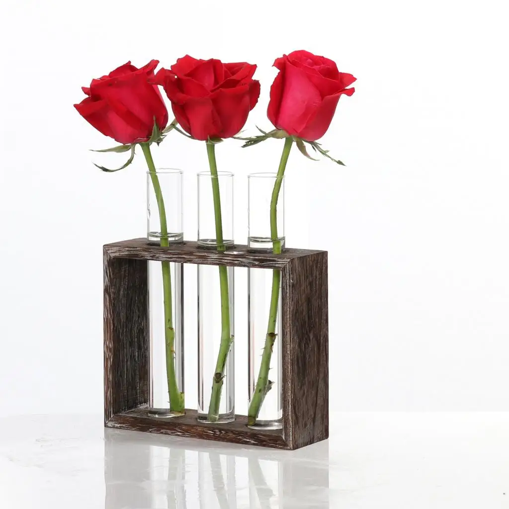 Water Planting Glass Vase, Test Tube Planter Modern Flower with Retro Solid Wooden Stand Tabletop