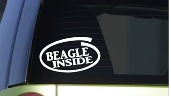 

Beagle Inside 8" wide Sticker decal dog training puppy rabbit window Sticker