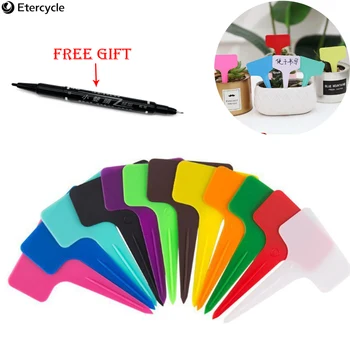 

100PCS High quality color Floral gardening label Plastic waterproof Plant succulent label Thick trumpet flower card