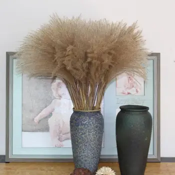 

40Cm 50Pcs Natural Reed Dried Flower Pampas Grass Bouquet Wedding Ceremony Decoration Modern Home Decoration