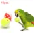 10шт Pet Parrot Toy Красочные Полые Прокатки Колокол Мяч Птица Игрушка Попугай Попугай Попугай Жевать Клетку Забавные Игрушки