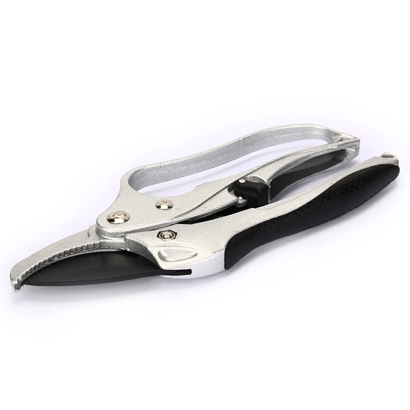 garden pruning shear