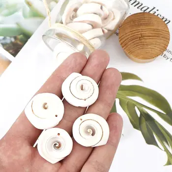 

100Pcs Natural Seashell Sea Shells Beads with Hole Cowrie Beach Conch DIY Crafts 667E