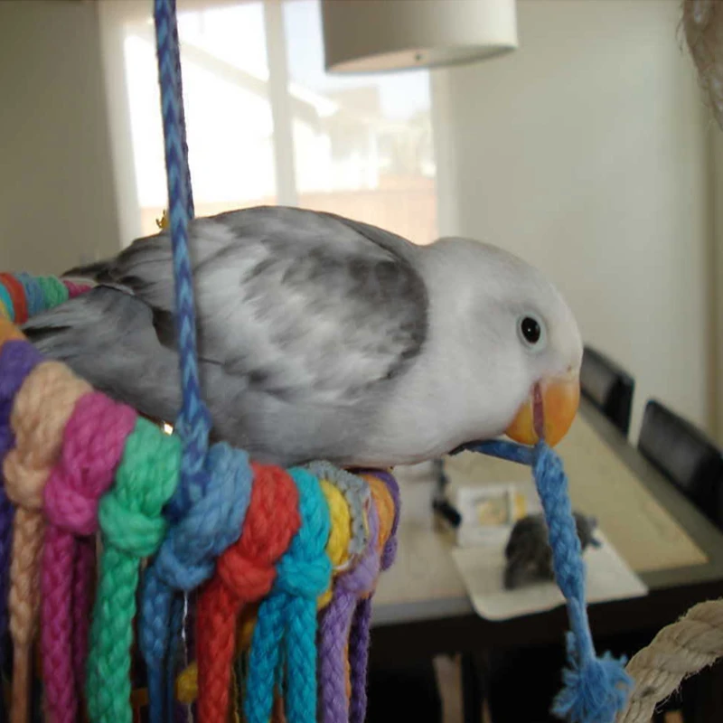 Parrot Bird toy Chew Bites Cotton Rope Colorful Hanging Cage Swing Nest Decor Rope Pull toys Bird Cage Accessories Supplies