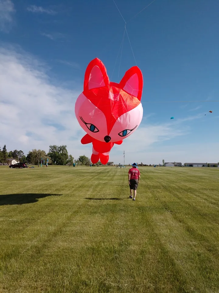 

5M Inflatable fox kite from kaixuan kite factory