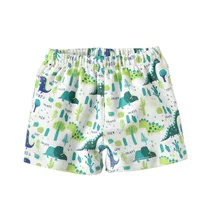 Новинка года; стильные детские шорты с рисунком динозавра; шорты для маленьких мальчиков; детские брюки из чистого хлопка; летние шорты с принтом