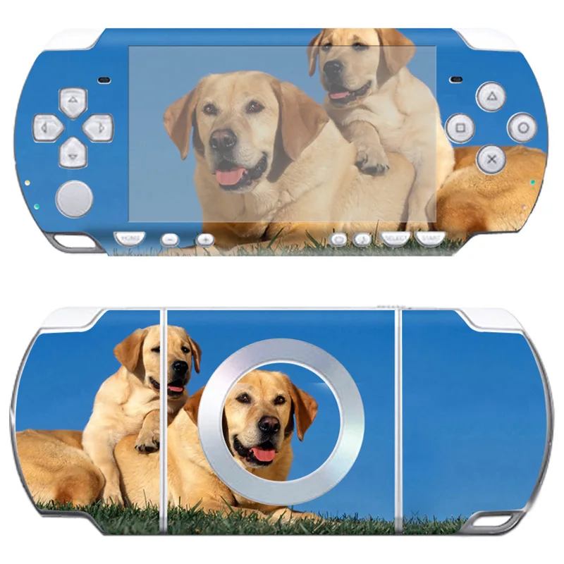 TN-PSP2000-023