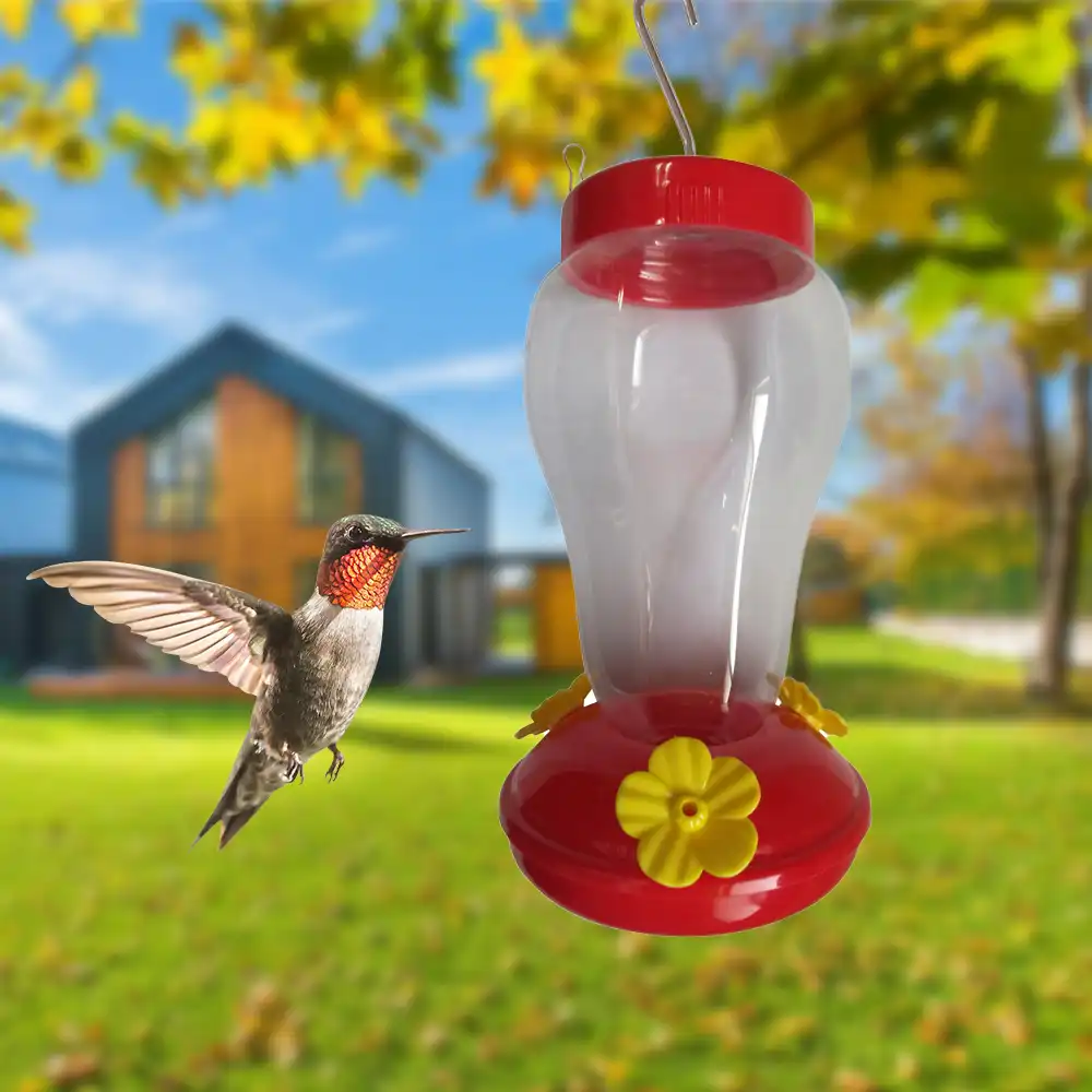 Parrats Hanging Water Drinker Feeder Bottle Plastics Hummingbird