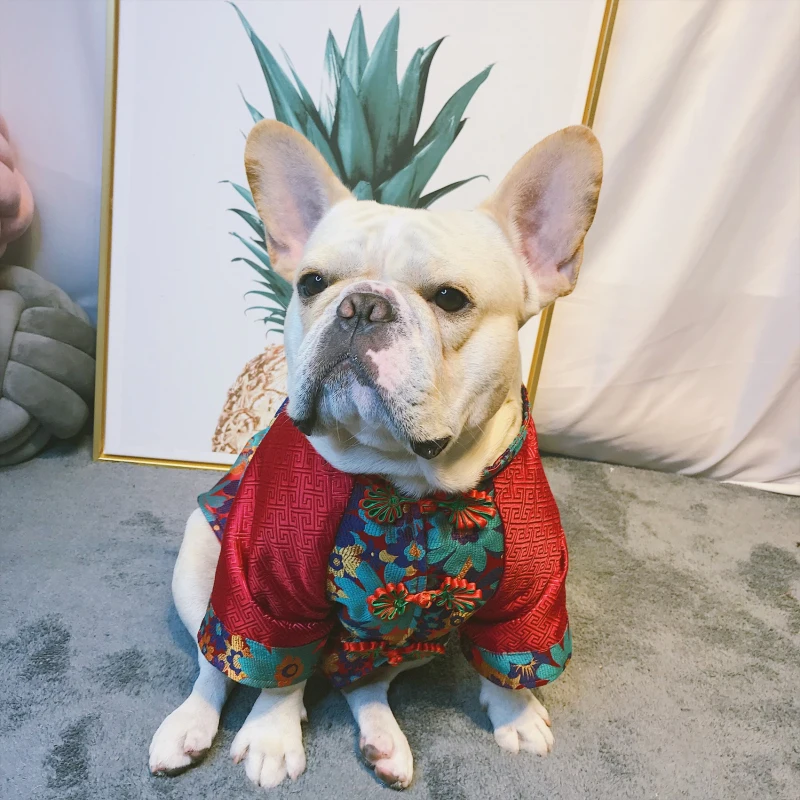 Мопс Одежда для собак зимняя французская одежда для бульдога Frenchie собака пальто куртка Тан костюм китайский для домашних животных на год костюм наряд Одежда