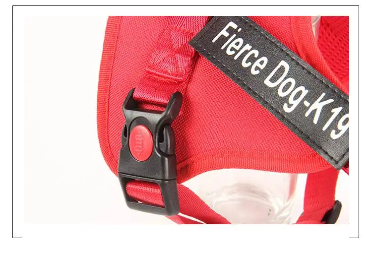 14466794916_1937179884