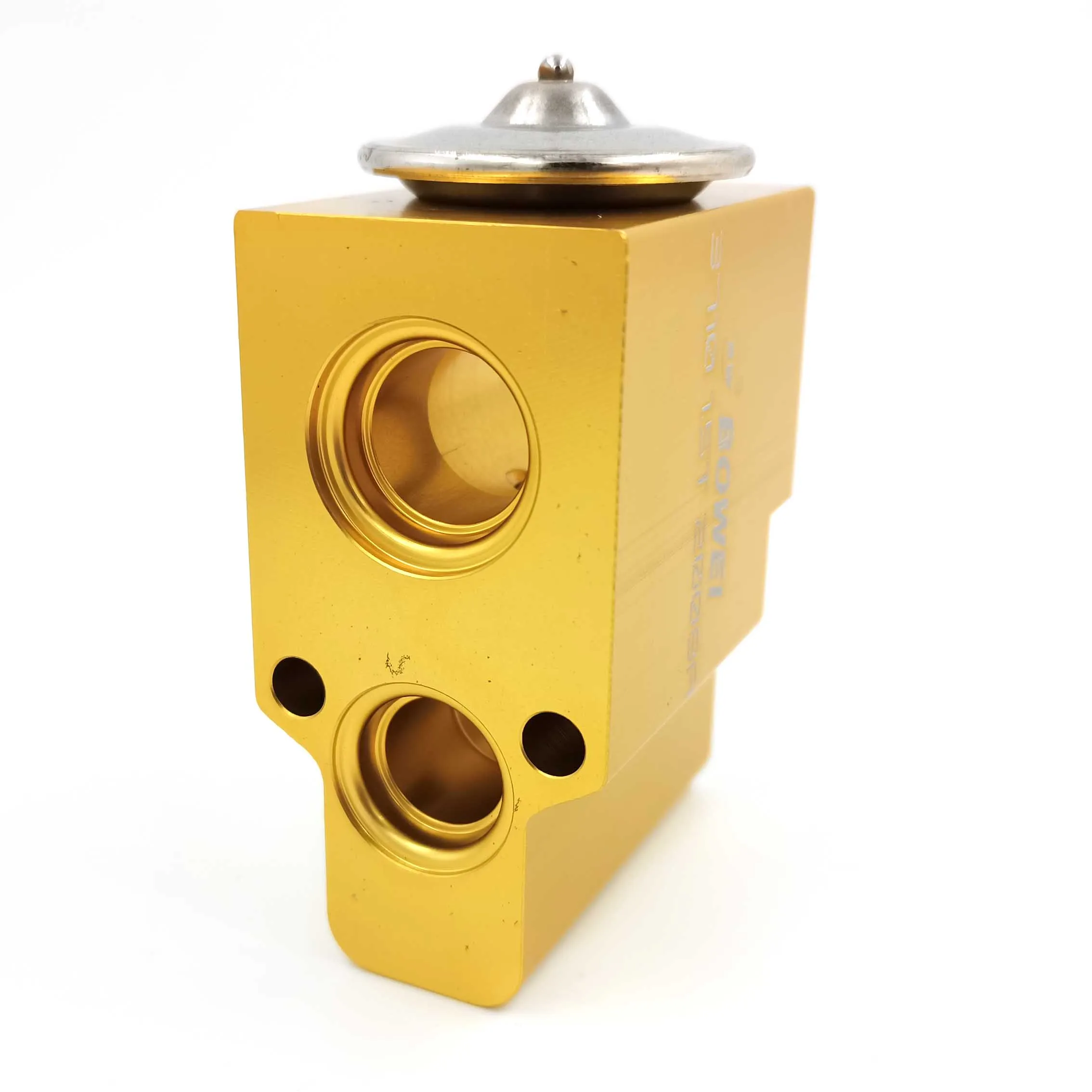 Auto Air Conditioning Expansion Valve For Audi Volvo Renault 4633681/5048590/JQD000030/646FG/6N0820679C/6N0820679A/7701041340