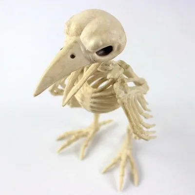 High quality Animal Skeleton toy Trinkets Halloween animal Skeleton decoration Bones house fashion artwork Party Decoration - Цвет: 18cm  90g