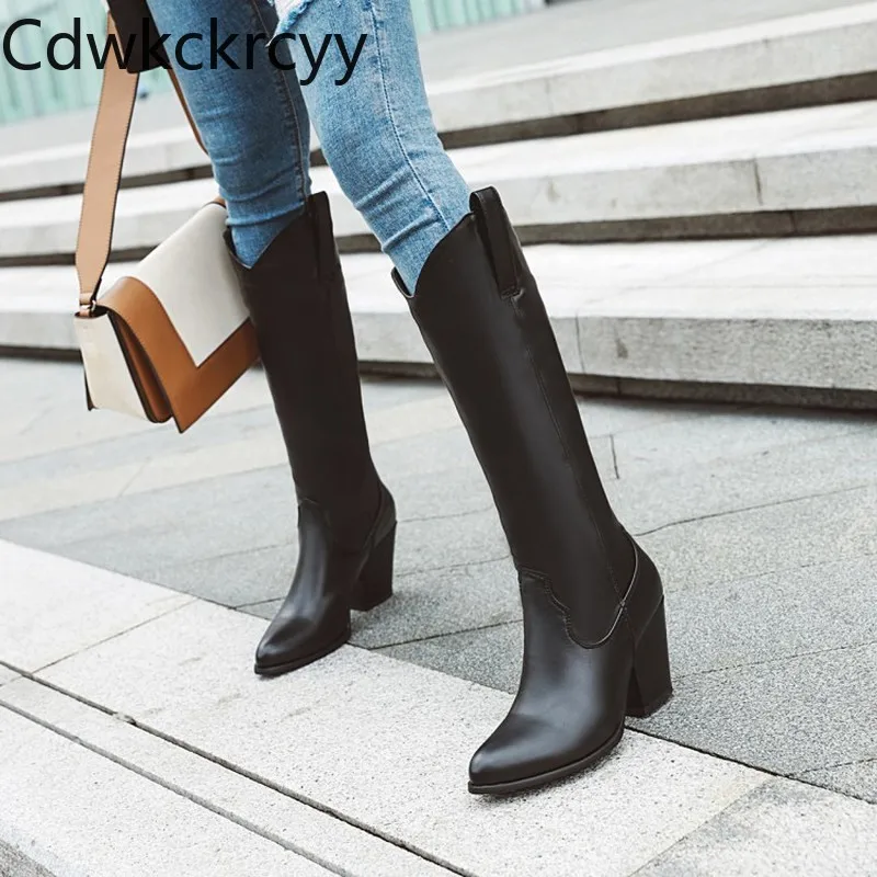 

winter The New fashion Pointed Thick heel Tall tube Knight boots Plus cashmere Keep warm High heel Women boots plush size 34-43