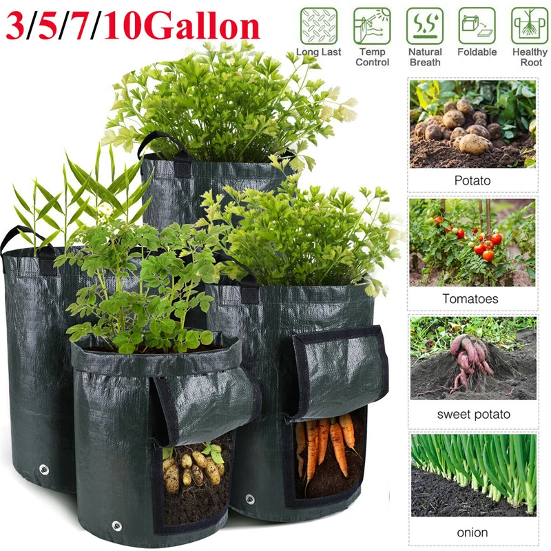 栽培袋 栽培ポット プランター 23x25cm 軽量 水はけ良好 鉢 ガーデニング 家庭菜園 自由研究 農業 植栽コンテナ 大容量 丈夫 持ち運び簡単 じゃがいも 玉葱 人参 どしろショップ ジャガイモ植栽バッグ ジャガイモ植栽バッグトマト植栽ポット 8 Adherashoes Com