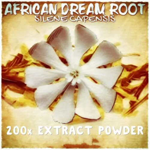 

African Dream Root | (Silene Undulata) Capensis 200x Extract Powder