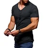 2022 New Men's V-neck T-shirt Fitness Bodybuilding T-shirt High Street Summer Short-Sleeved Zipper Casual Cotton Top ► Photo 3/6