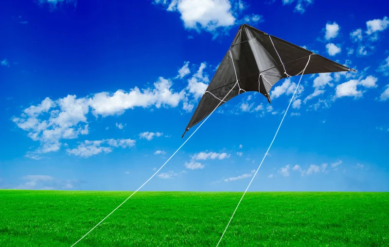NEW Arrive 47Inch Professional  Black Dual Line Stunt Kite With Handle And Line Good Flying Factory Outlet 2