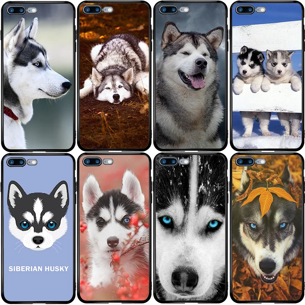Alaskan Malamute Siberian Husky dog Cover Case for Huawei Honor Mate 9 10 20 30 P Smart Z P10 P20 P30 P40 Lite Pro 2018 2019 | Мобильные