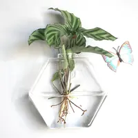 Wand Hängen Hydroponischen Glas Vase Transparent Aquarium Grün Pflanze Pflanze Topf Kreative Hause Wand Hängen Dekorationen