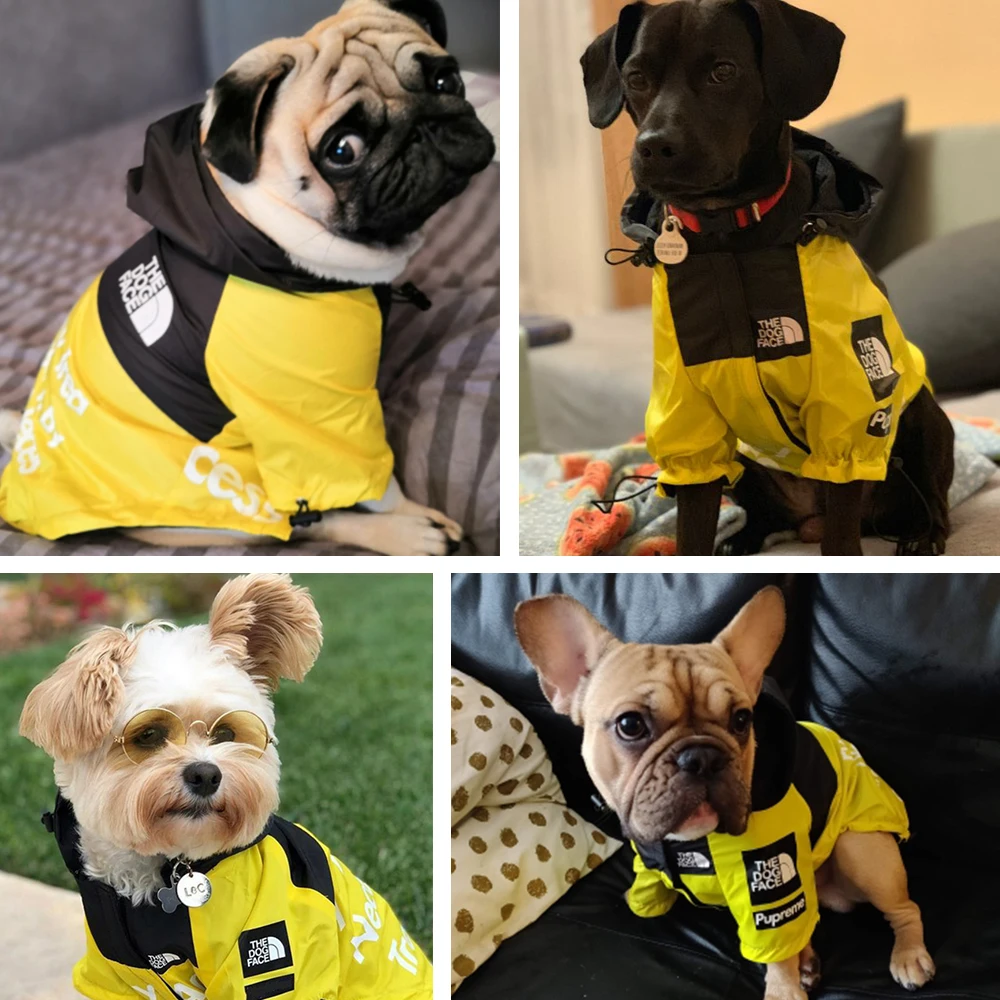 dog jacket-4