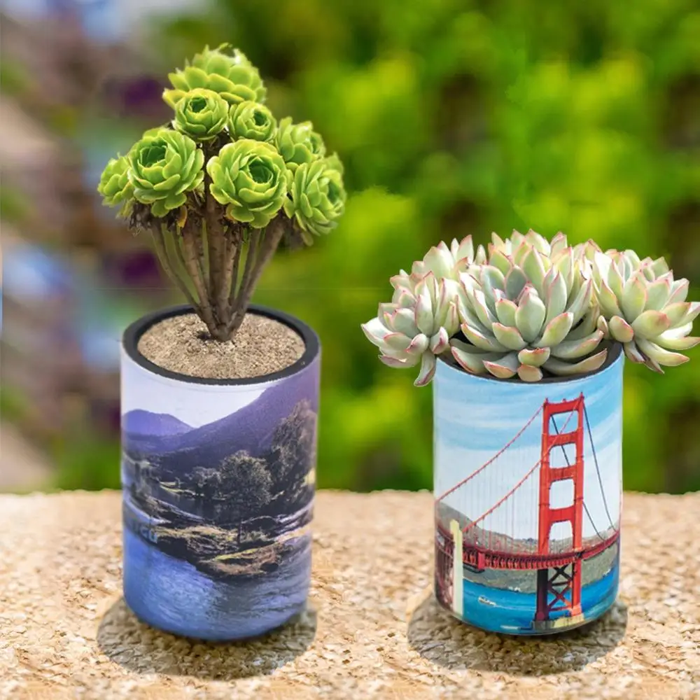 

NEYGU Simple Succulent Plant Flower Pot, Fleshy Flower Bonsai Pot for Desktop-Window Decor, Visiting Patient Indispensable Gift