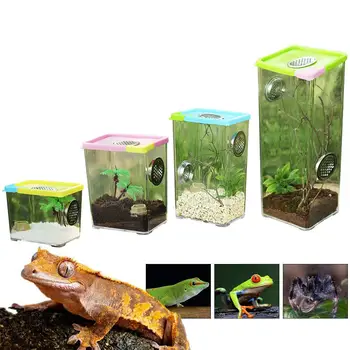 

Reptile Breeding Box Clear Acrylic Reptile Terrarium Feeding Box For Spider Scorpion