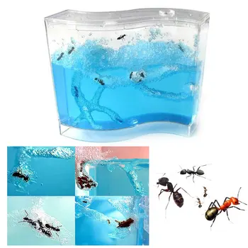 

SOLEDI Live Ants Home Ant Farm Pet Sand and Voucher Educational Small Pet Supplies House Insects Plastic 73 * 32 * 78mm