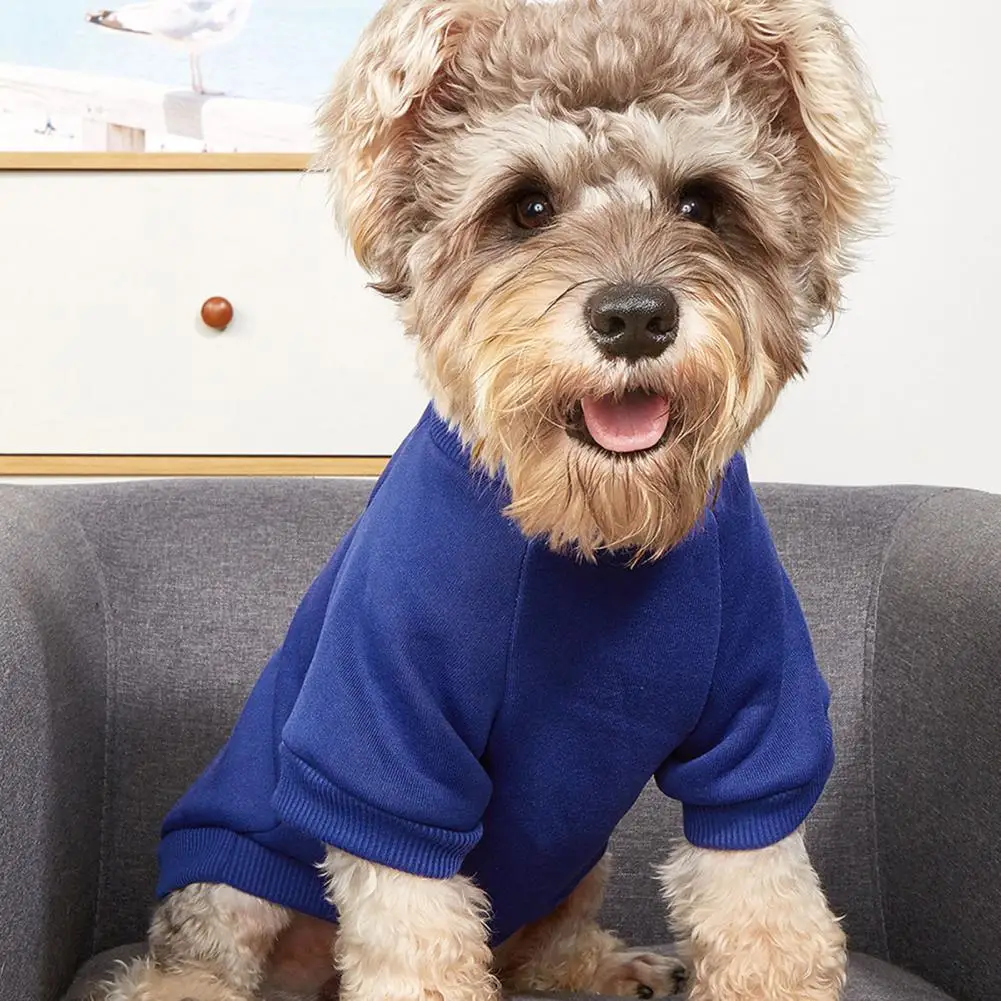 Is Polyester Good For Dogs