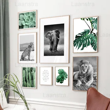 

Black and White Animal Photography Pictures Home Decoration Painting Cactus Succulents Green Plants Living Room Canvas Poster