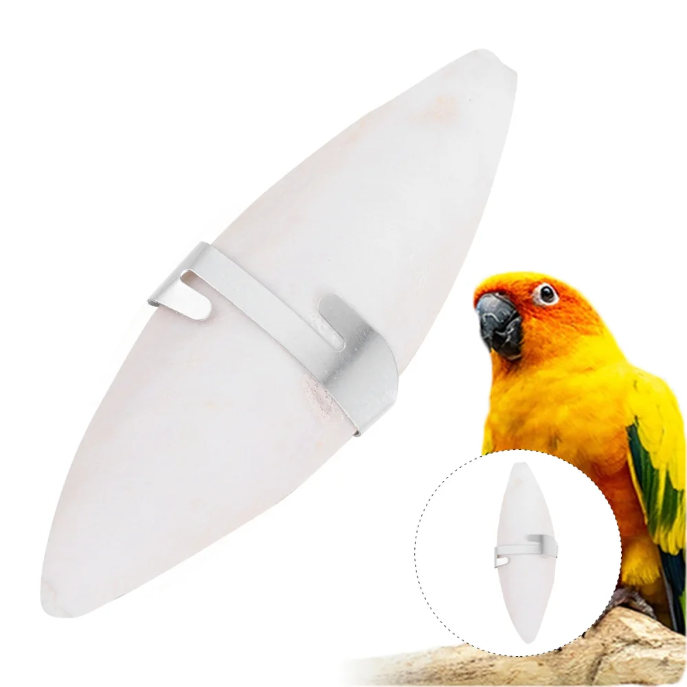 6 conjunto de animais de estimação pássaro cuttlebone mordida brinquedos aconchego osso mascar cuttlefish osso com suporte metal para papagaios de estimação