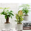 Garden Supplies