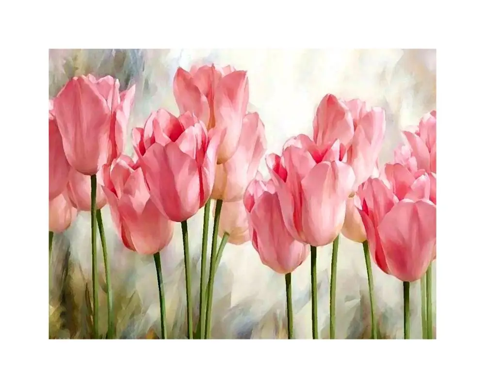 Home decor pink tulip flower wall art DIY oil paintings by numbers wall