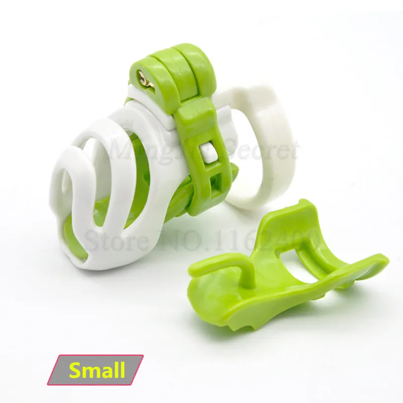 4550413414_222136412